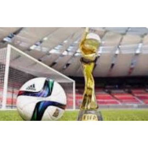 FIFA 世界杯 2026