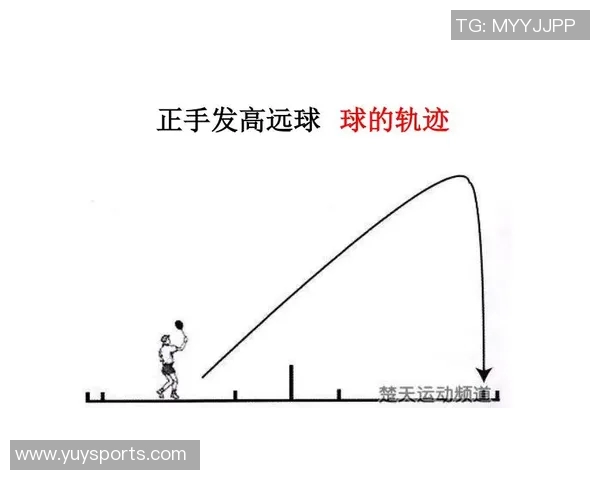 体育实时数据科学羽毛球力量训练方法提升运动表现与技术水平的全面指南
